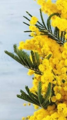 リプロケアプログラム グループLINE