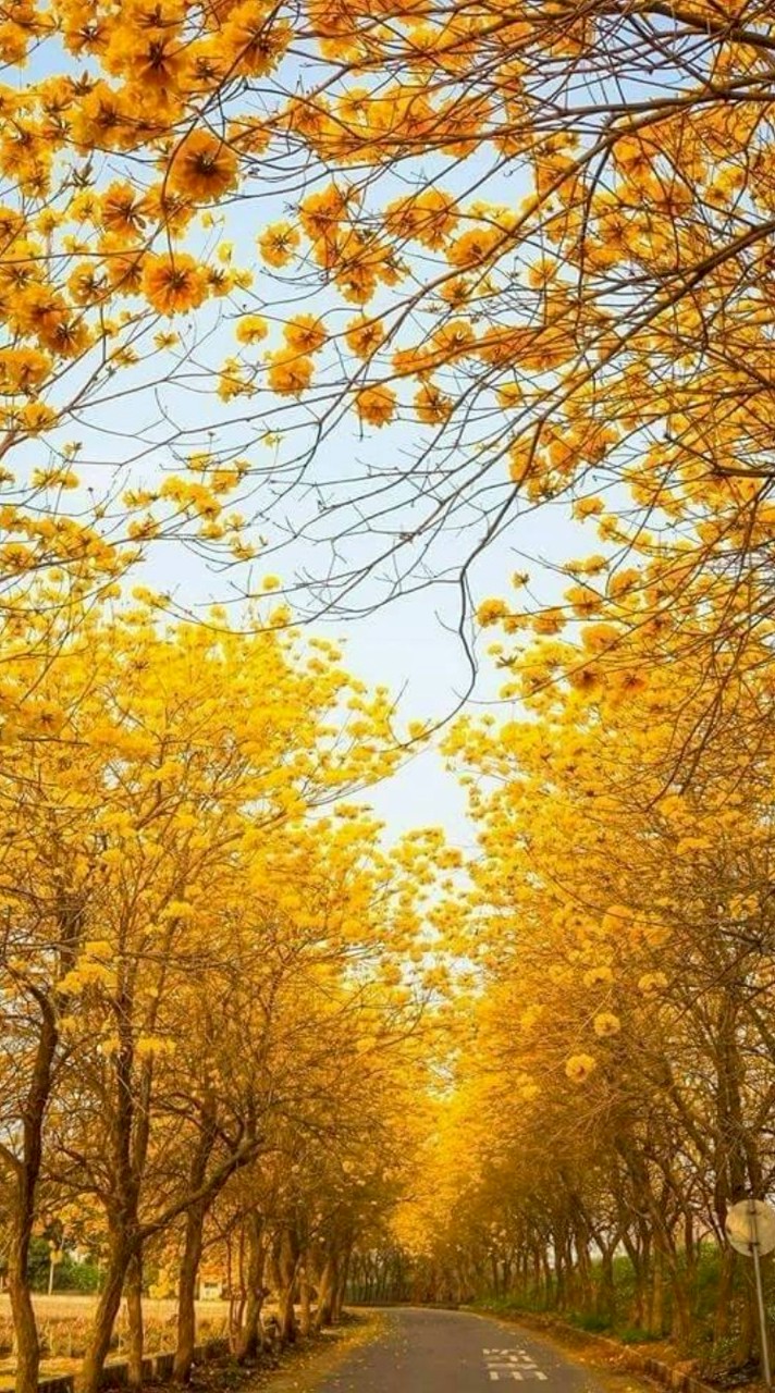 爸媽聊聊天-（單親、離婚、喪偶）~~（歡迎愛聊天的進群，不要潛水的）