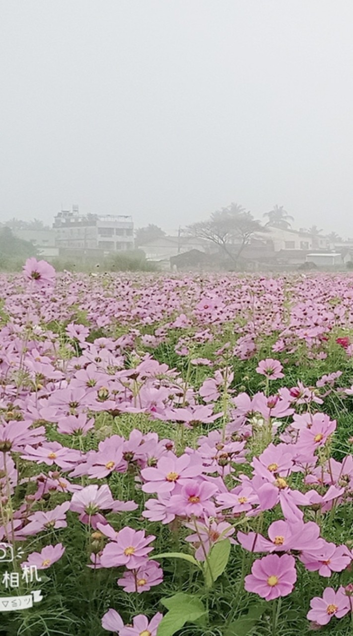 全台瞎聊會社