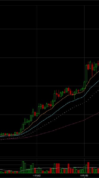 仮想通貨トレード実況のオープンチャット