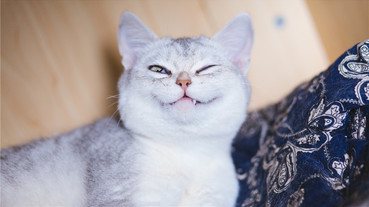 有好心但不是甜心，經常幫人幫到挨罵的星座