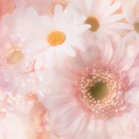 更年期を共有⭐︎雑談で乗り越えよう‼️