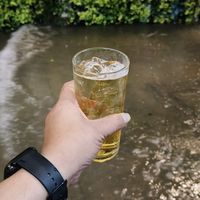 โสดโปรดจีบ😅