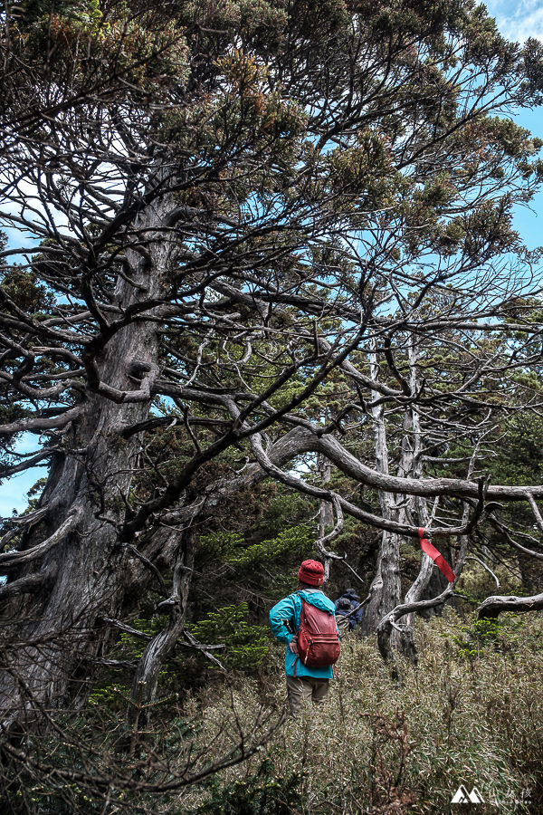 山女孩Melissa_南湖大山_陶塞峰-0724.jpg