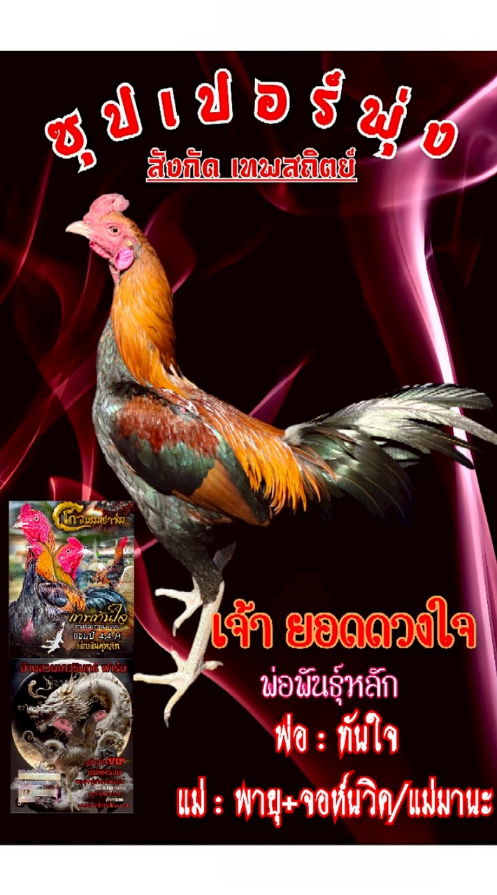 ซุปเปอร์พุ่ง สังกัด เทพสถิตย์