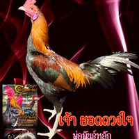 ซุปเปอร์พุ่ง สังกัด เทพสถิตย์