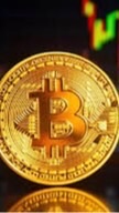 老陳合約專業分析