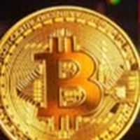 老陳合約專業分析