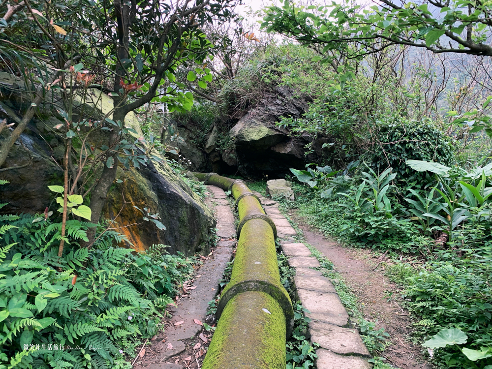 通往黃金水圳橋