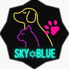 SKYBLUE【アヴァベル】