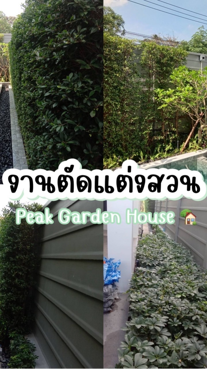 บริการตัดต้นไม้ แต่งสวน เคลียร์พื้นที่ กทม/ปริมณฑล by คุณฝ้าย