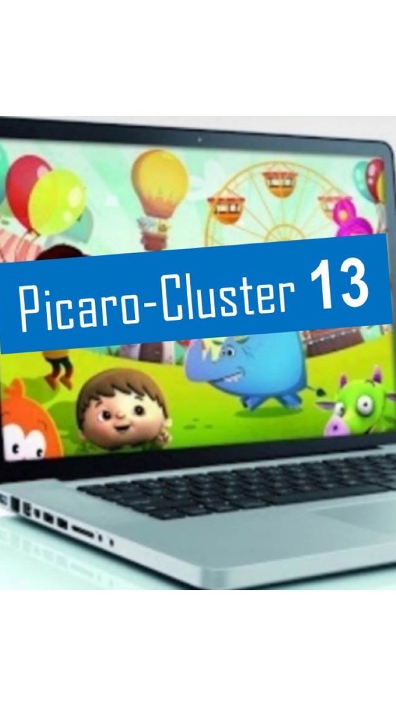 Picaro-Cluster 13