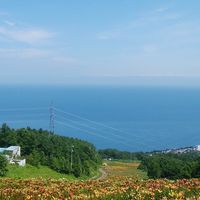 PAHの会
