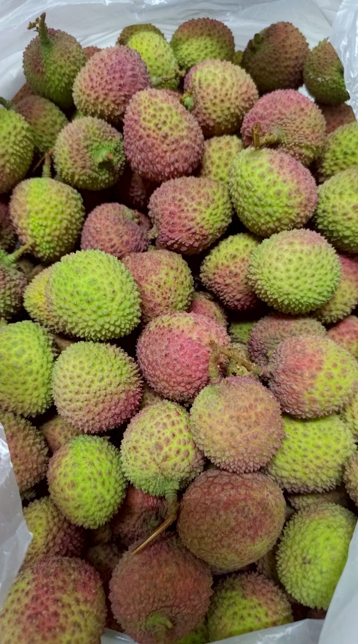 黃小源玉荷包•蜂蜜團