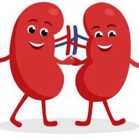 【arKIDNEYソリューションズ公式】腎臓病（保存期）の患者コミュニティ