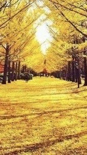 50～70代シニア世代少人数            🍪🍪🍪🍪🍪