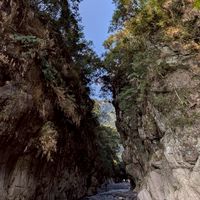 115-03-24武界雲海民宿