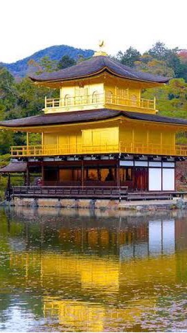 たまひよ🐥11月京都ルーム⛩