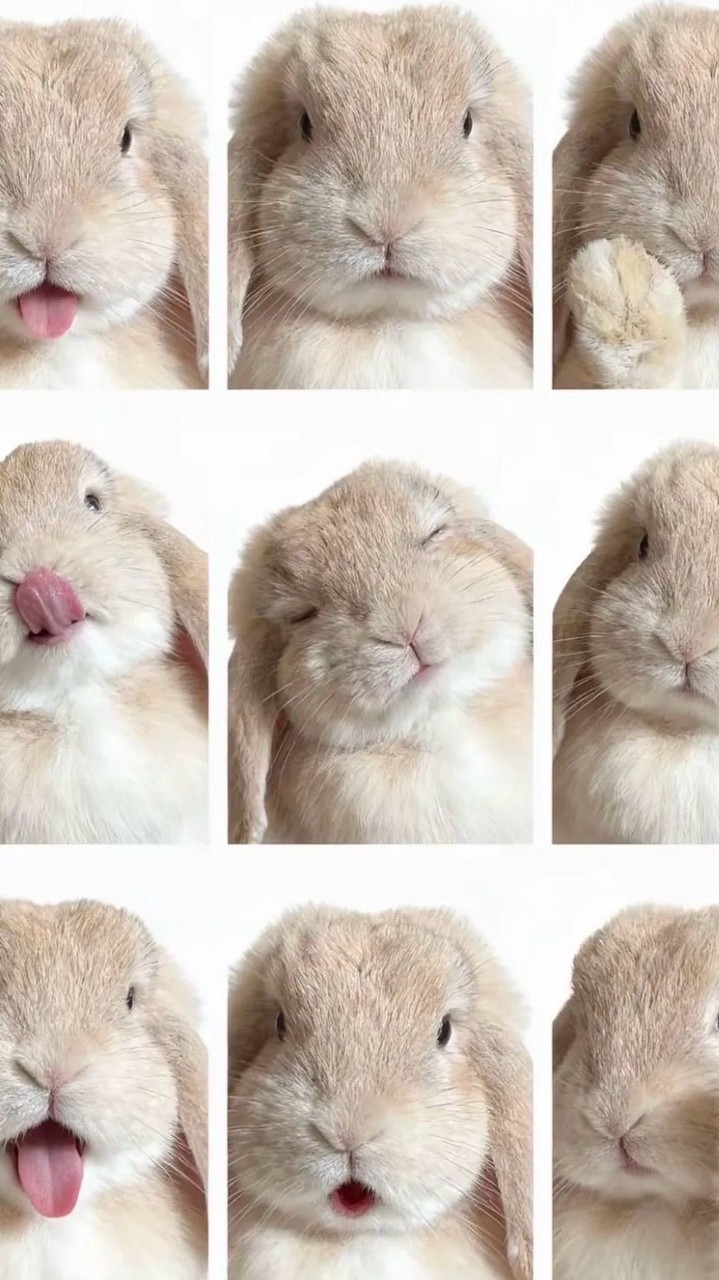 นุ่มๆฟูๆ