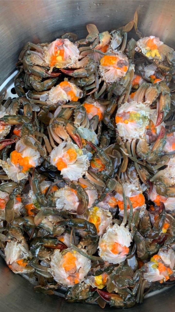各國沙公沙母紅蟳批發