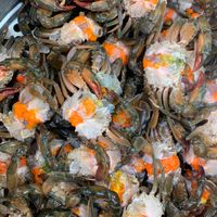 各國沙公沙母紅蟳批發