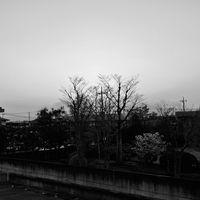 ☁️不登校・別室登校☁️勉強(？)📖