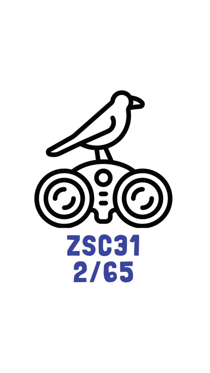 ZSC31 2/2565