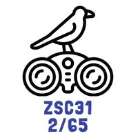 ZSC31 2/2565