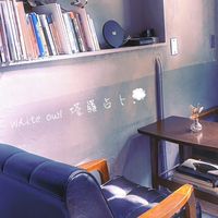 White owl 塔羅占卜📩🦉💭