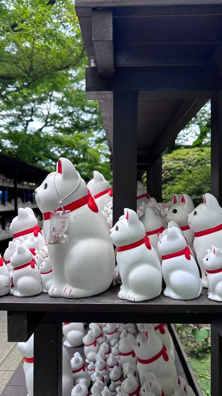 東京蔓蔓購gogo