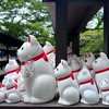 東京蔓蔓購gogo