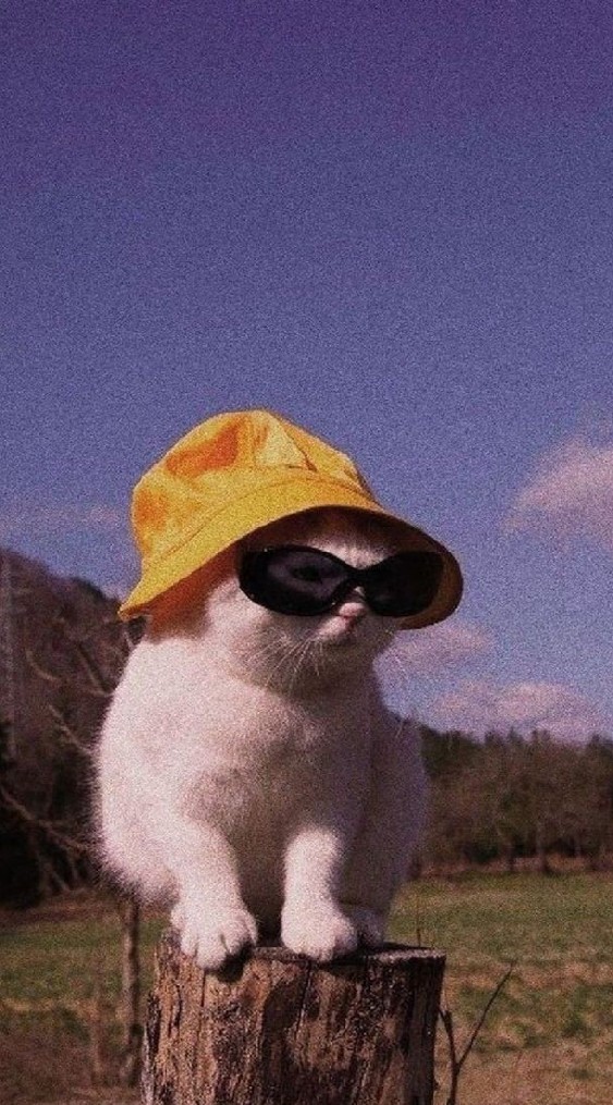 คุยเล่นๆ