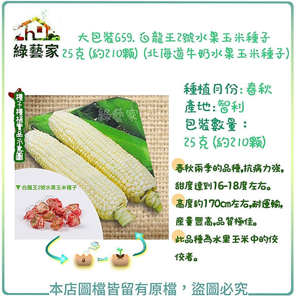 種植月份:春秋n包裝數量：25克(約210顆)n產地:智利n甜度達到16-18度左右