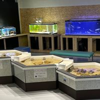 大人のための科学クラブ　〜月に一度のサイエンスナイト〜