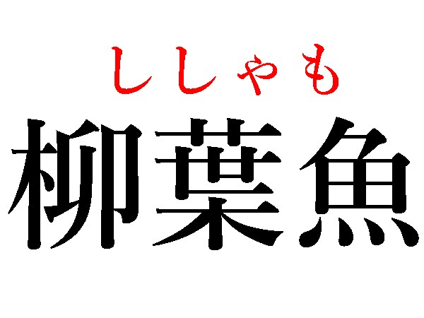 ししゃも 英語 読み方