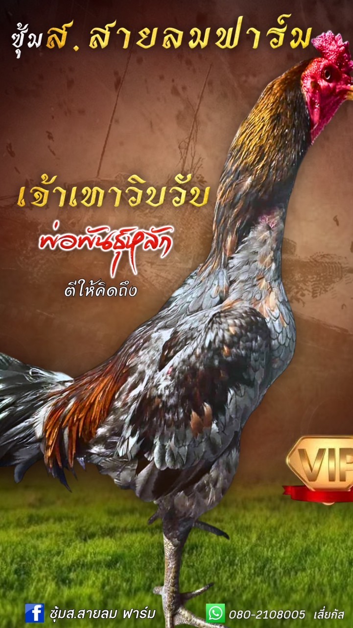 ซุ้มส สายลม ฟาร์ม