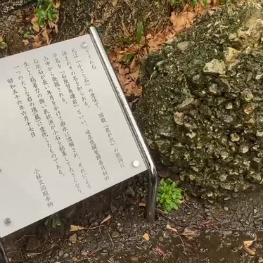 さざれ石のundefinedに実際訪問訪問したユーザーunknownさんが新しく投稿した新着口コミの写真
