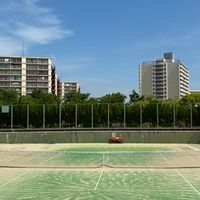 水曜日 テニス🎾どうでしょう🤩