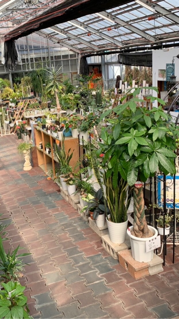 ギフト館情報共有ルームfromサンパーク都城店