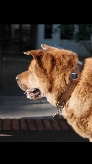 囧哥幫🐶囧哥ㄉ粉絲群 aka 全東海最酷到爆的粉絲群 awf🐶⁉️awf💦⁉️‼️ 宇宙最炸社群