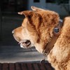 囧哥幫🐶囧哥ㄉ粉絲群 aka 全東海最酷到爆的粉絲群 awf🐶⁉️awf💦⁉️‼️ 宇宙最炸社群