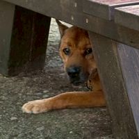 囧哥幫🐶囧哥ㄉ粉絲群 aka 全東海最酷到爆的粉絲群 awf🐶⁉️awf💦⁉️‼️ 宇宙最炸社群