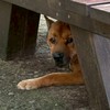 囧哥幫🐶囧哥ㄉ粉絲群 aka 全東海最酷到爆的粉絲群 awf🐶⁉️awf💦⁉️‼️ 宇宙最炸社群