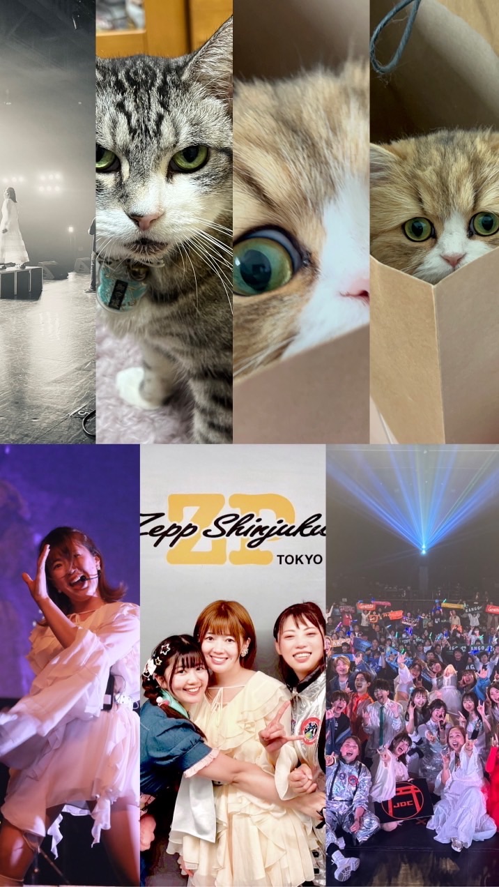 《everylive》エリ掲示板🐈‍⬛💙