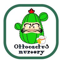 Ottocactus on tour