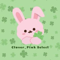 clover_pinkselect🍀幸運草韓國代購
