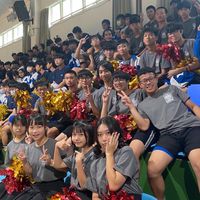 207大小事