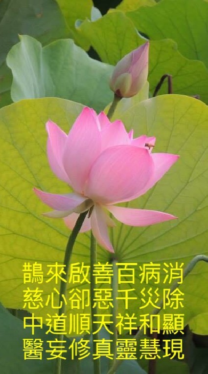 鵲慈中醫/身心靈喜樂分享