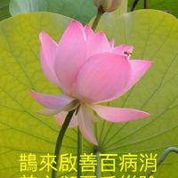 鵲慈中醫/身心靈喜樂分享