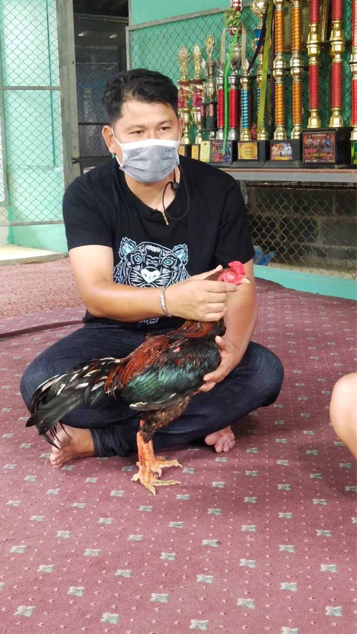หยิบสด อยุธยา